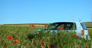 Auto im Feld