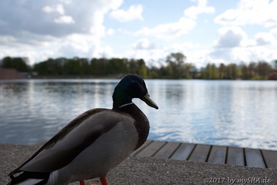 Stadtpark