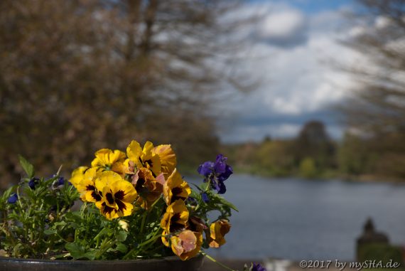 Stadtpark